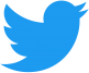 2021 Twitter logo - blue.png